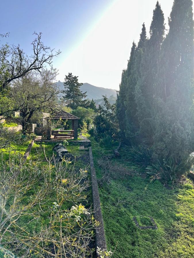 Casa La Veguetilla En San Mateo Vega de San Mateo Zewnętrze zdjęcie