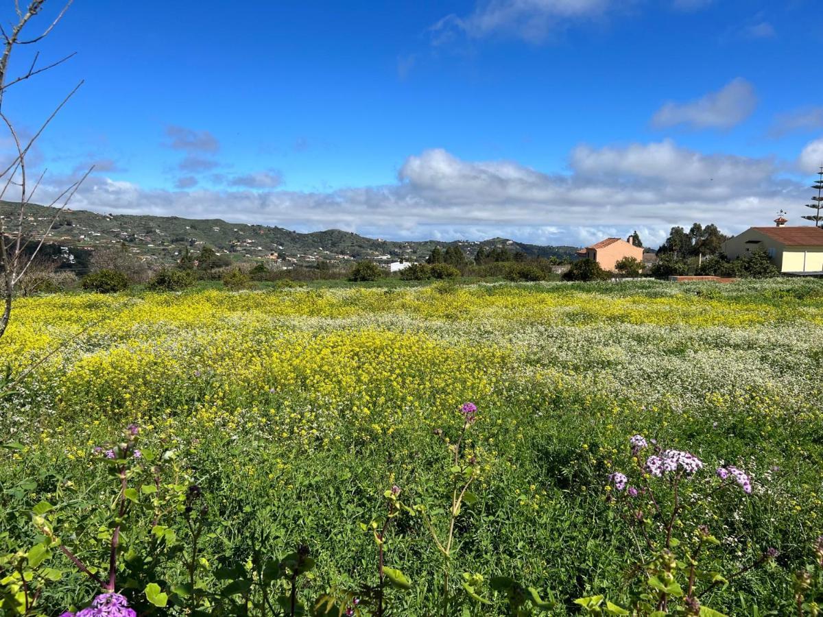 Casa La Veguetilla En San Mateo Vega de San Mateo Zewnętrze zdjęcie